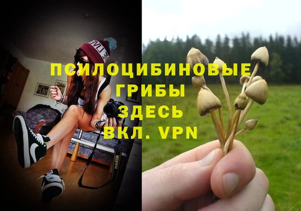 герыч Балахна