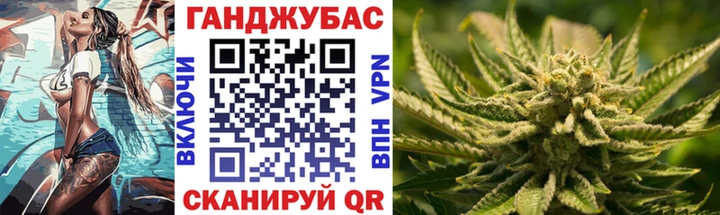 Купить где  Певек  Шишки марихуана Amnesia 